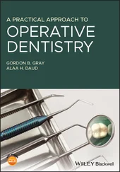 Gordon B. Gray - A Practical Approach to Operative Dentistry