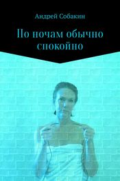 Андрей Собакин: По ночам обычно спокойно