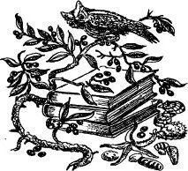 Нет свидетеля честнее книжной полки Пишущий человек часто выглядит умнее чем - фото 48