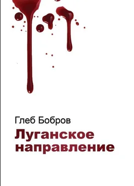 Глеб Бобров Луганское направление обложка книги