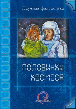 Владимир Венгловский Половинки космоса обложка книги