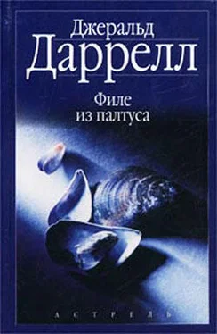 Джеральд Даррелл Филе из палтуса (с иллюстрациями) обложка книги