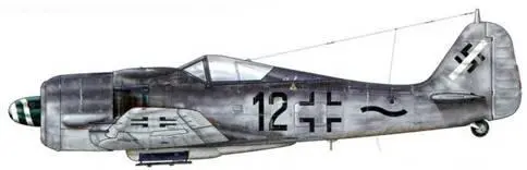 Fw 190А8 из 111 n JG 54 Гроссенхайн Германия март 1945 г Буква п - фото 119