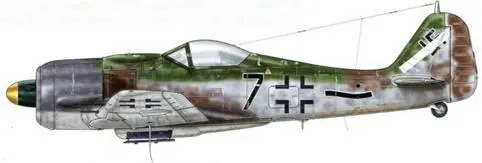 Fw 190А9 из IVJG 54 МюнстерХандорф Германия май 1945 г На коке винта - фото 129