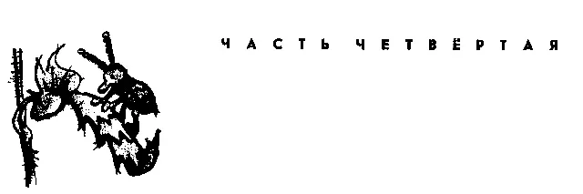 НАУТРО Когда Колька проснулся он первым делом сунул руку под подушку Дубовый - фото 26