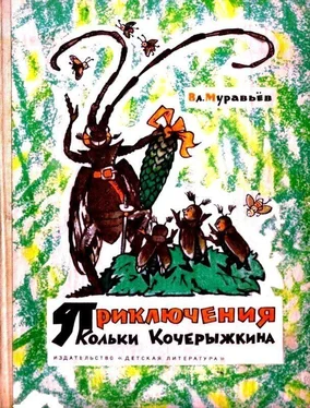 Владимир Муравьев Приключения Кольки Кочерыжкина (Рисунки Л. Владимирского) обложка книги