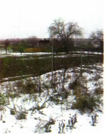 Фото 4 Снимок сделан зимой Мусор в огороде В И Ляшенко Никополь - фото 4