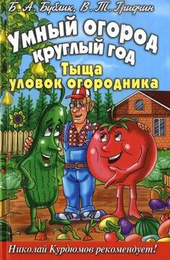 Борис Бублик Умный огород круглый год обложка книги