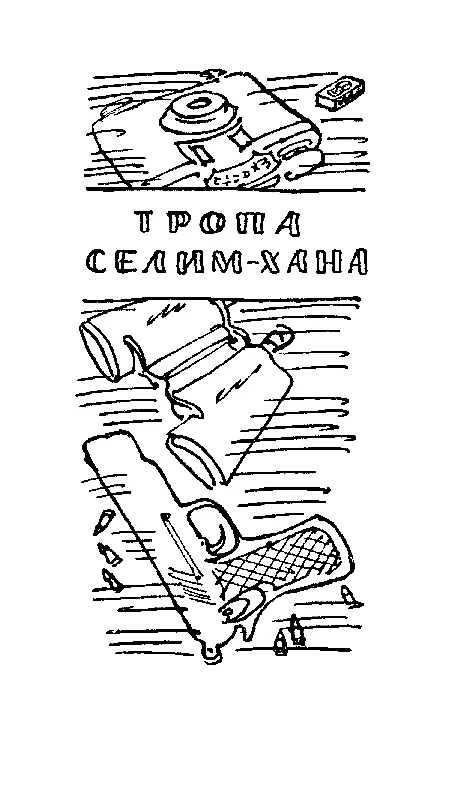 ТРОПА СЕЛИМХАНА Осенью 195 года я гостил в Грузии у моих - фото 4