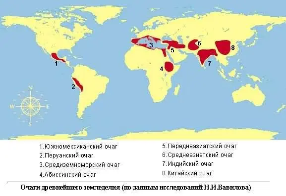 Как можно видеть зона начального развития главнейших культурных растений - фото 1