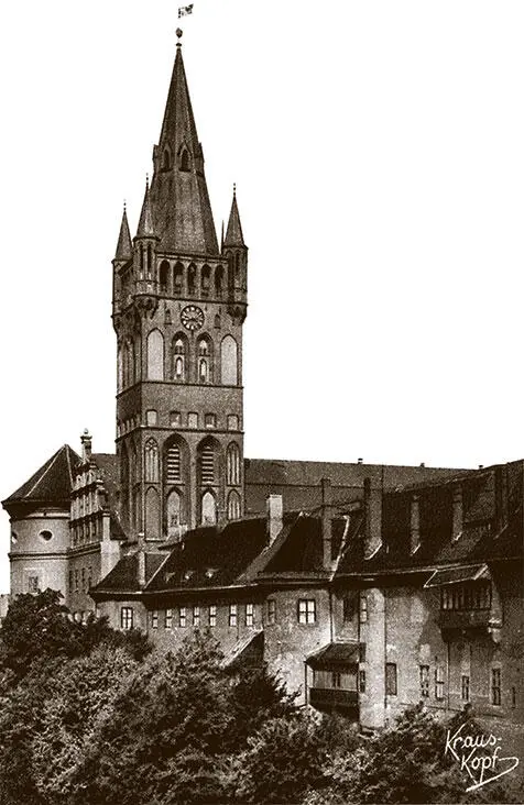 Южное крыло замка Кёнигсберг начало XX века В статутах Ордена делали - фото 10