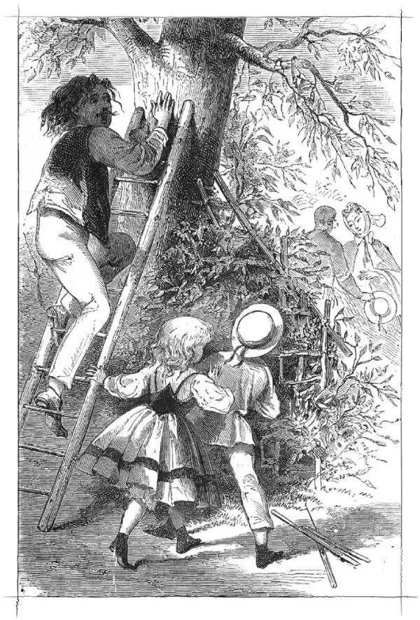 Вдруг из листвы выглянуло испуганное лицо Паоло его волосы спутались и - фото 13