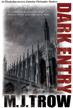 M. Trow Dark Entry обложка книги