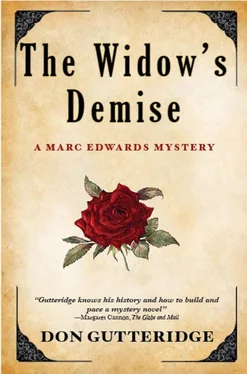 Don Gutteridge The Widow's Demise обложка книги