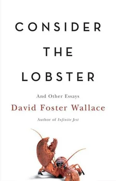 David Wallace Consider the Lobster: And Other Essays обложка книги