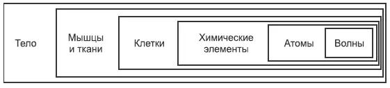 Тело это интерференция волн Так вот если вы вспомните как вы мечтаете то - фото 12