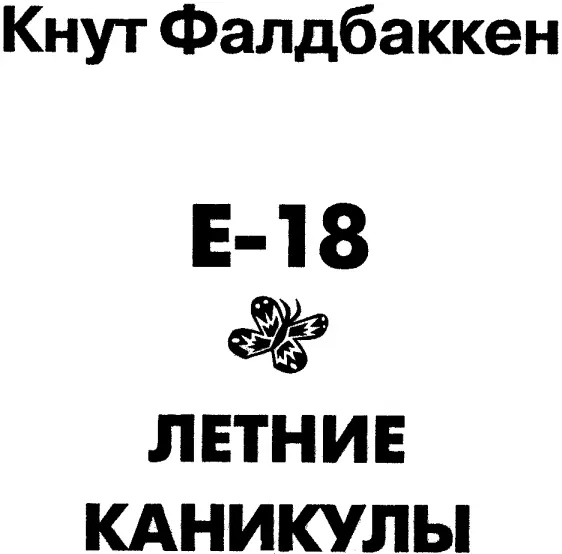 E18 Летние каникулы - фото 1