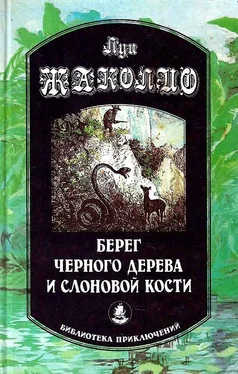 Луи Жаколио Берег черного дерева и слоновой кости. Корсар Ингольф. Грабители морей обложка книги