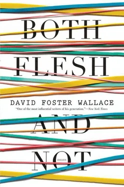 David Wallace Both Flesh and Not: Essays обложка книги