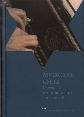 Делмор Шварц Мужская сила. Рассказы американских писателей обложка книги