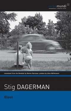 Stig Dagerman Sleet: Selected Stories обложка книги