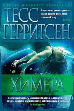 Тесс Герритсен Химера обложка книги