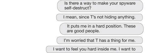 She was erasing the last message which shed typed only as a masturbation aid - фото 4