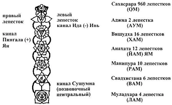 дой Как и любая открытая система каждая из них осу ществляет на своем уровне - фото 31