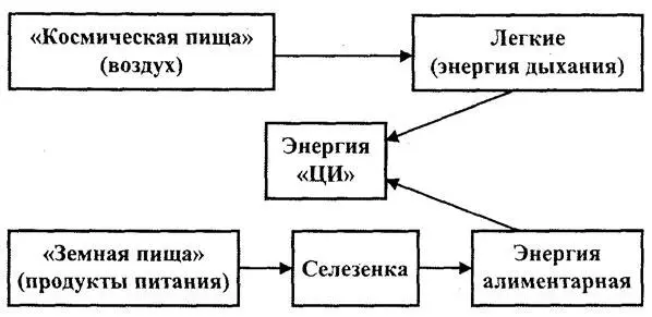 воздуха вдыхаемого легкими Итак древневосточная традиция рассматривая - фото 45