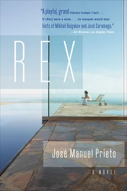 José Manuel Prieto Rex обложка книги