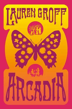 Lauren Groff Arcadia обложка книги