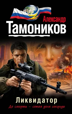 Александр Тамоников Ликвидатор обложка книги