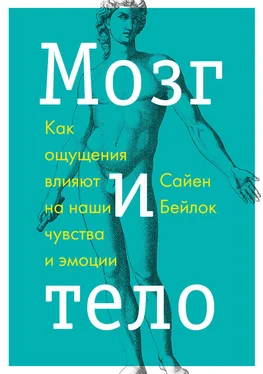 Сайен Бейлок Мозг и тело. Как ощущения влияют на наши чувства и эмоции обложка книги