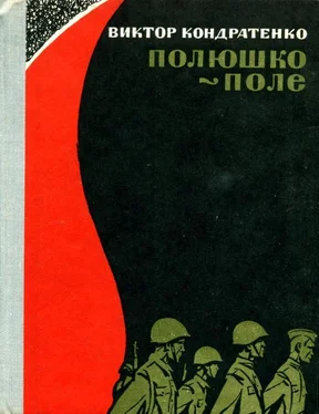 Виктор Кондратенко Полюшко-поле обложка книги