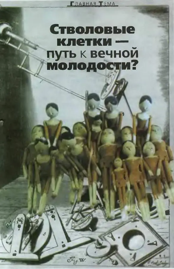 Биология наука XXI века Сколько раз мы уже обращались к этой теме - фото 4