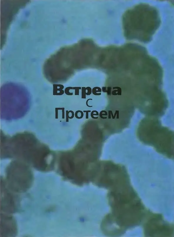 Иногда звучание слов кажется интереснее их смысла Скажем Человек состоит из - фото 5