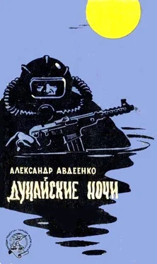 Александр Авдеенко Дунайские ночи (Художник Г. Малаков) обложка книги