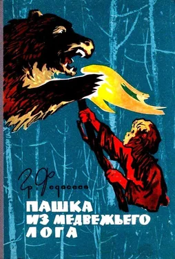 Григорий Федосеев Пашка из Медвежьего лога (Художник И. Коновалов) обложка книги