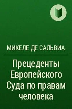 Микеле де Сальвиа Прецеденты Европейского Суда по правам человека. Руководящие принципы судебной практики, относящейся к Европейской конвенции о защите прав человека и основных свобод. Судебная практика с 1960 по 2002г. обложка книги