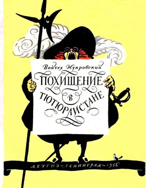 Войцех Жукровский Похищение в Тютюрлистане (Художник Ю. Киселев) обложка книги