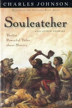 Charles Johnson Soulcatcher: And other stories обложка книги