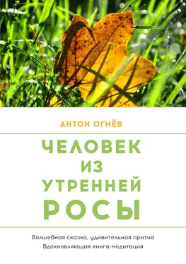 Антон Огнев Человек из Утренней росы обложка книги
