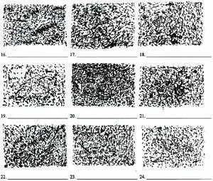 There are hidden patterns in images 17 19 21 22 24 ACKNOWLEDGEMENTS - фото 28