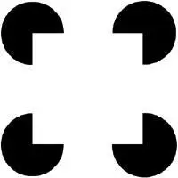FIG 2 Both infants and adults see an illusory white square in the typical - фото 3