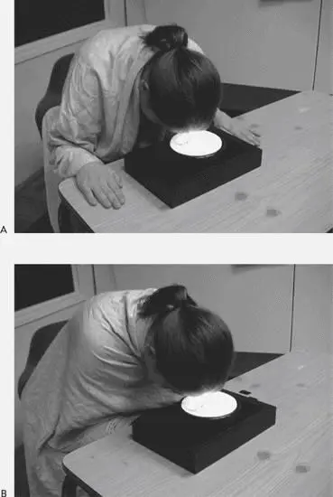 Figure 5 Handsfree adult activates switch in A whereas adults arms are - фото 10