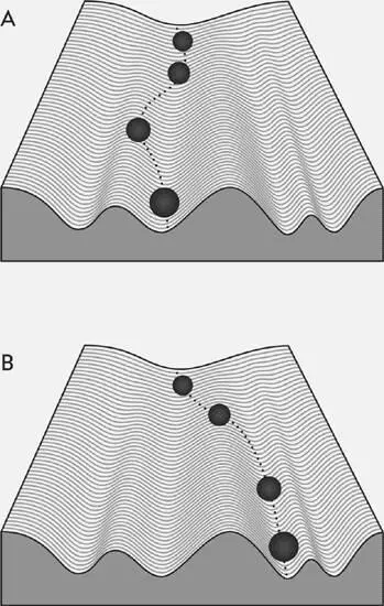 Figure 7 Waddingtons epigenetic landscape After Kevin Mitchell PLS Bristol - фото 13
