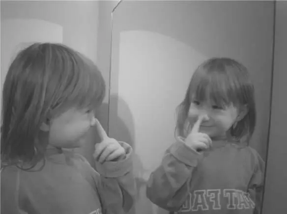 Figure 6 Somewhere around eighteen months human infants pass the rouge test - фото 6