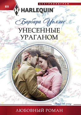 Барбара Уоллес Унесенные ураганом обложка книги