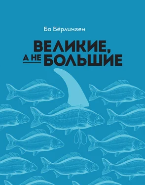 Бо Бёрлингем Великие, а не большие обложка книги