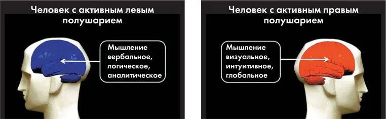 Пожалуй можно сказать что у человека два мозга вербальный и визуальный Цель - фото 6